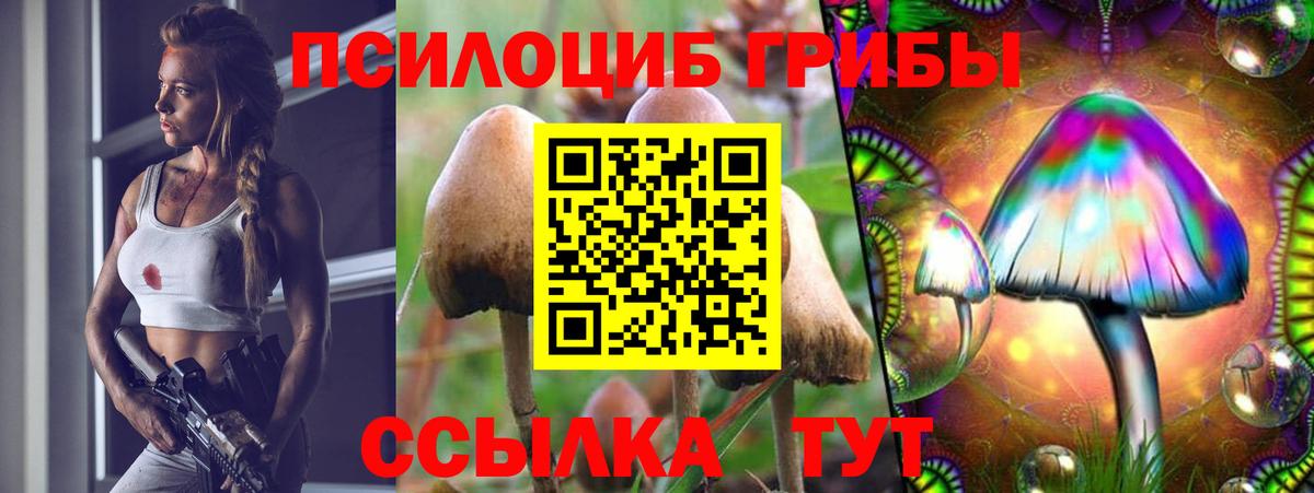 Галлюциногенные грибы Cubensis  Галлюциногенные грибы ЛСД  Вход с VPN  Балашиха 